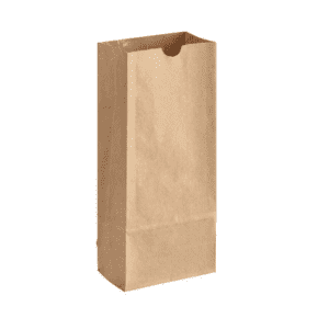 #1 KRAFT PAPER BAG
