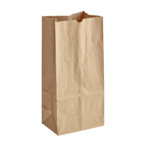 #5 KRAFT PAPER BAG