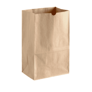 #20 KRAFT PAPER BAG