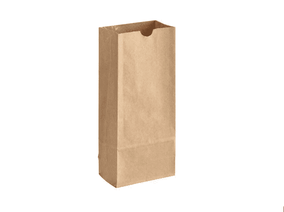 #1 KRAFT PAPER BAG